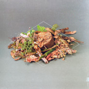 Forest Floor