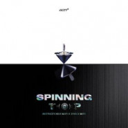 Spinning Top: Between Security & Insecurity