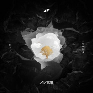 Avīci (01)