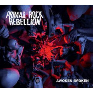Awoken Broken