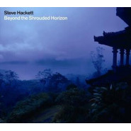 Beyond the Shrouded Horizon