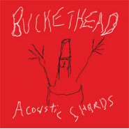 Acoustic Shards