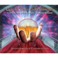 Spontaneous Combustion