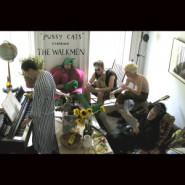 Pussy Cats" Starring the Walkmen