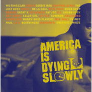 America Is Dying Slowly