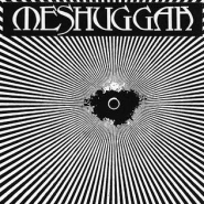 Meshuggah