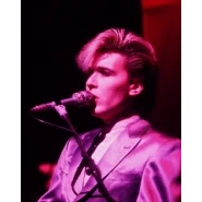 David Sylvian