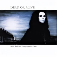 Mad, Bad, and Dangerous to Know (Dead or Alive album)