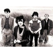 Siouxsie and the Banshees