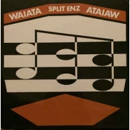 Waiata (Corroboree)