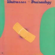 Bruiseology