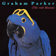 The Real Macaw