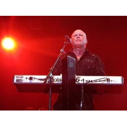 A Flock of Seagulls