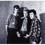 Stray Cats