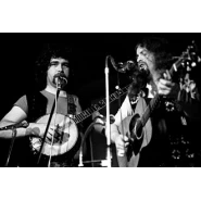 The Fureys