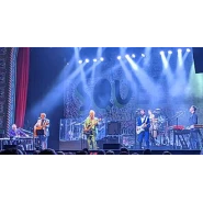 Squeeze (band)