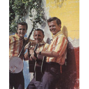 John Stewart (musician)