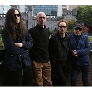 Wire (band)