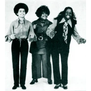 The Fuzz (band)