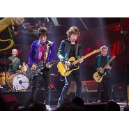 the Rolling Stones