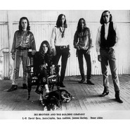 Big Brother and the Holding Company