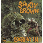 Looking In
