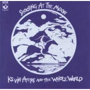 Shooting at the Moon