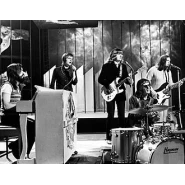 White Plains (band)