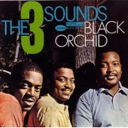 Black Orchid
