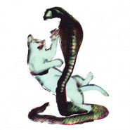 The Cat and the Cobra