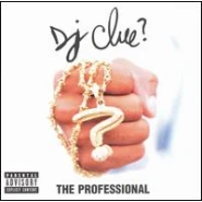 The Professional