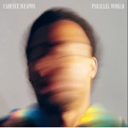 Parallel World