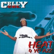 Heat 4 Yo Azz