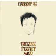 Thunder Perfect Mind
