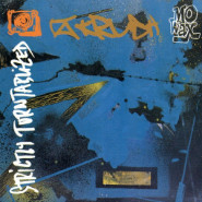 Strictly Turntablized