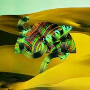 Django Django