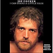 I Can Stand a Little Rain