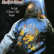 I'm Just a Rock 'n' Roll Singer