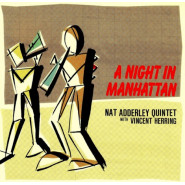 A Night in Manhattan