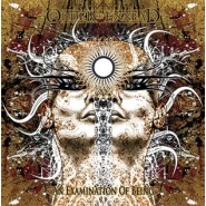 An Examination of Being