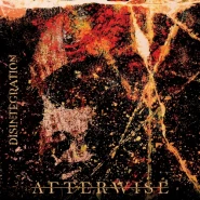 Disintegration