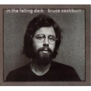 In the Falling Dark