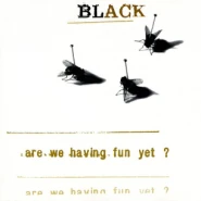 Are We Having Fun Yet?