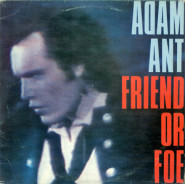Friend or Foe