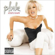 Cuz I Can (Pink song)