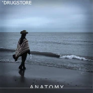 Anatomy
