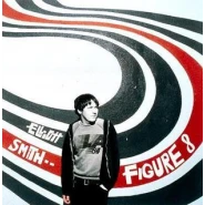 Figure 8