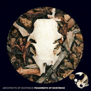 Fragments of Existence