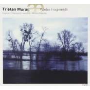 Winter Fragments