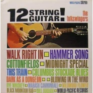 12 String Guitar!